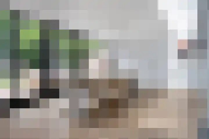 Dianastraat 32 Berlicum thumbnail 15