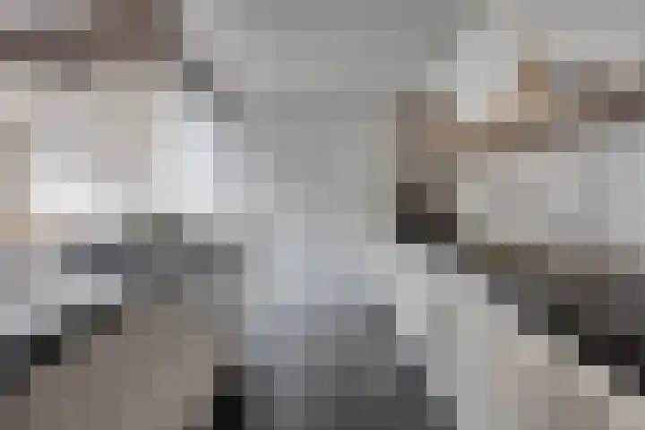 Dianastraat 32 Berlicum thumbnail 21