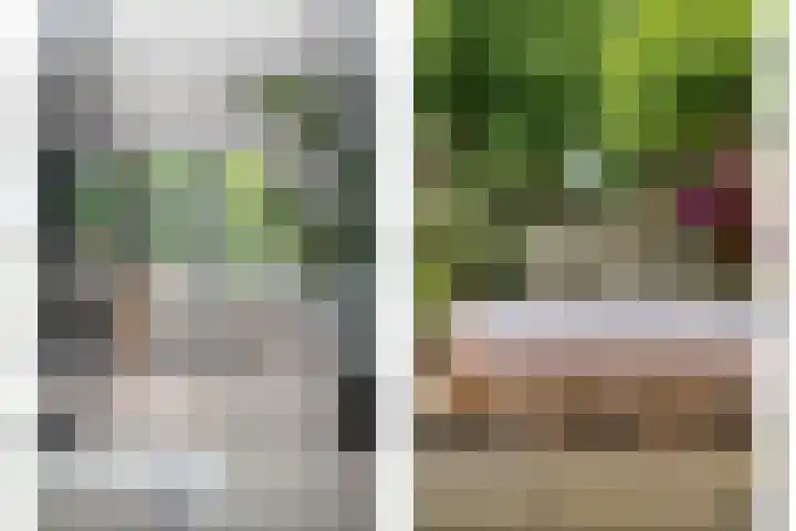 Dianastraat 32 Berlicum thumbnail 22