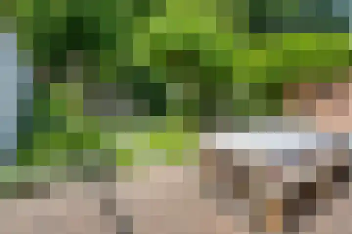Dianastraat 32 Berlicum thumbnail 23