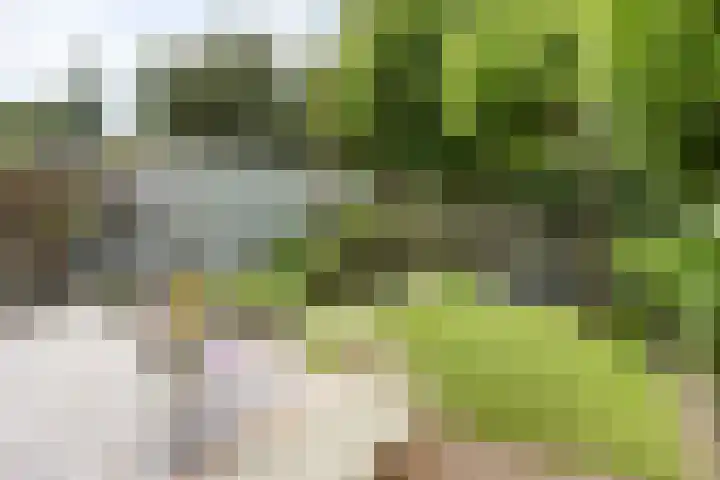 Dianastraat 32 Berlicum thumbnail 24