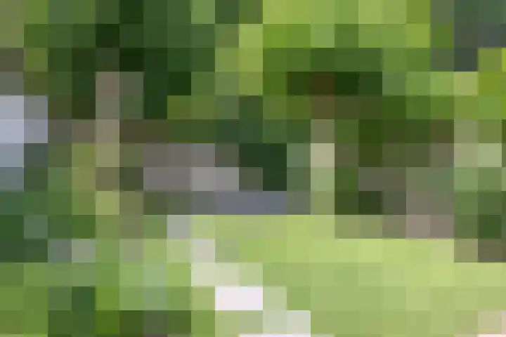 Dianastraat 32 Berlicum thumbnail 26