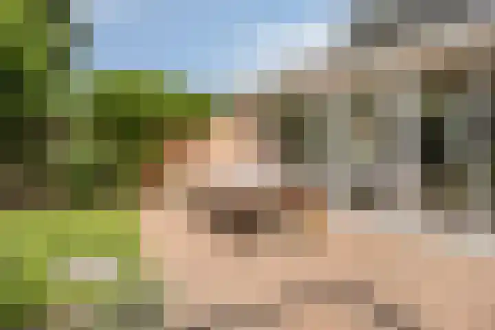 Dianastraat 32 Berlicum thumbnail 27