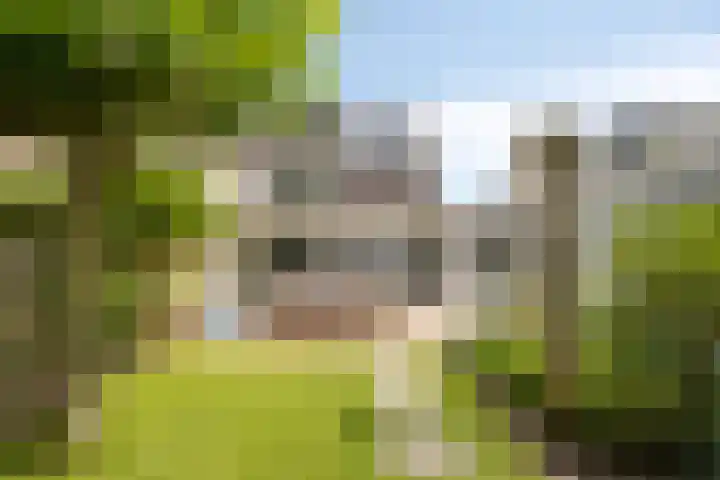 Dianastraat 32 Berlicum thumbnail 28