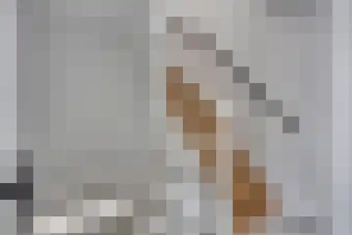 Dianastraat 32 Berlicum thumbnail 31