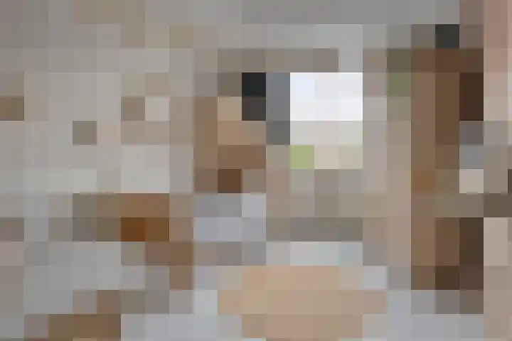 Dianastraat 32 Berlicum thumbnail 32