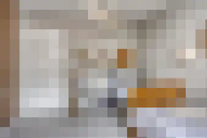 Dianastraat 32 Berlicum thumbnail 33