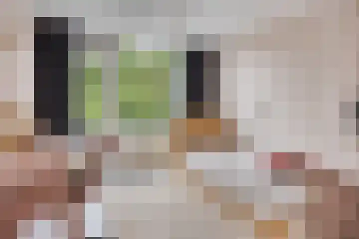 Dianastraat 32 Berlicum thumbnail 34