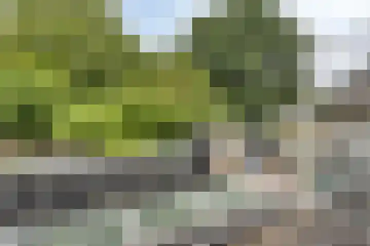 Dianastraat 32 Berlicum thumbnail 36