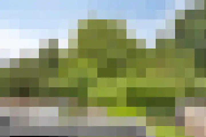 Dianastraat 32 Berlicum thumbnail 37