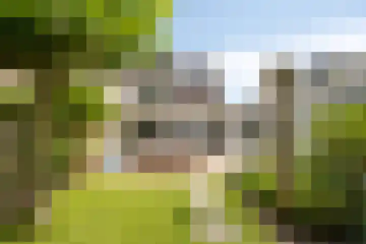 Dianastraat 32 Berlicum thumbnail 4