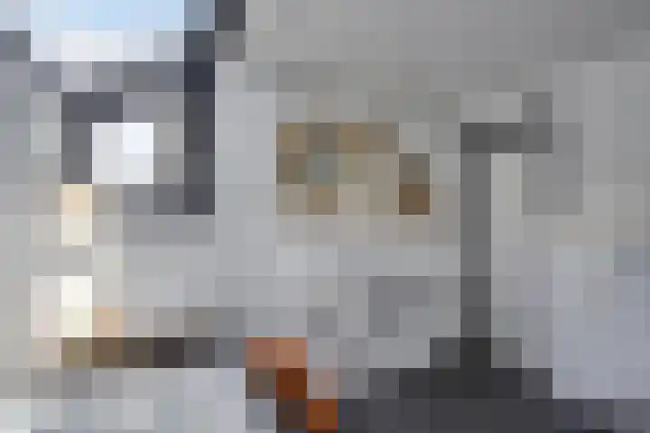 Dianastraat 32 Berlicum thumbnail 43