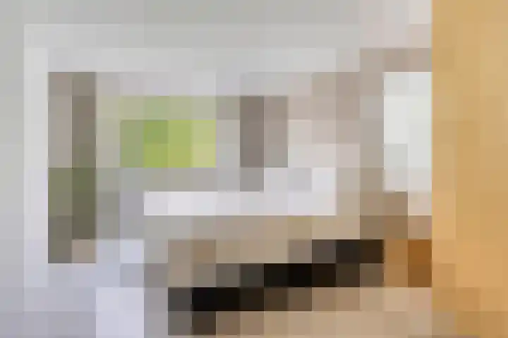 Dianastraat 32 Berlicum thumbnail 45