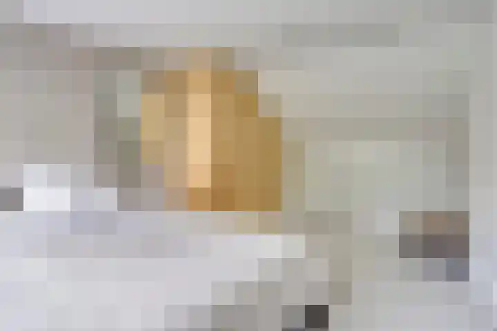 Dianastraat 32 Berlicum thumbnail 46