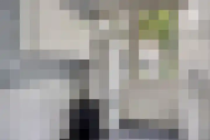 Dianastraat 32 Berlicum thumbnail 49
