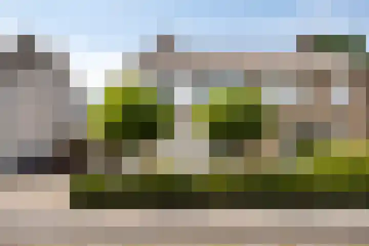 Dianastraat 32 Berlicum thumbnail 5