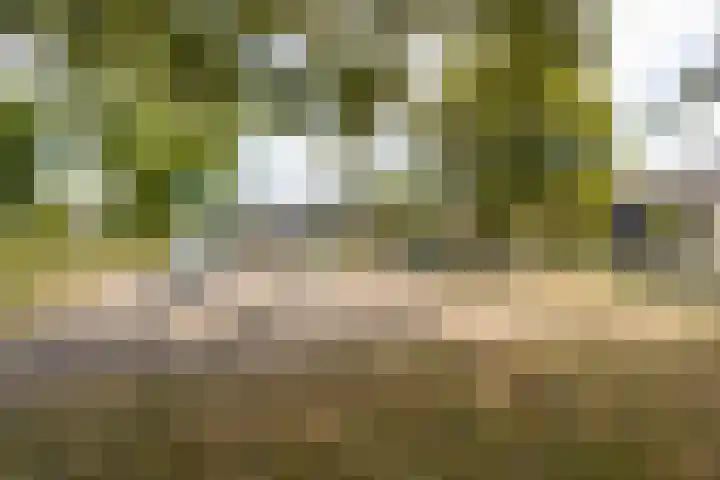Dianastraat 32 Berlicum thumbnail 50