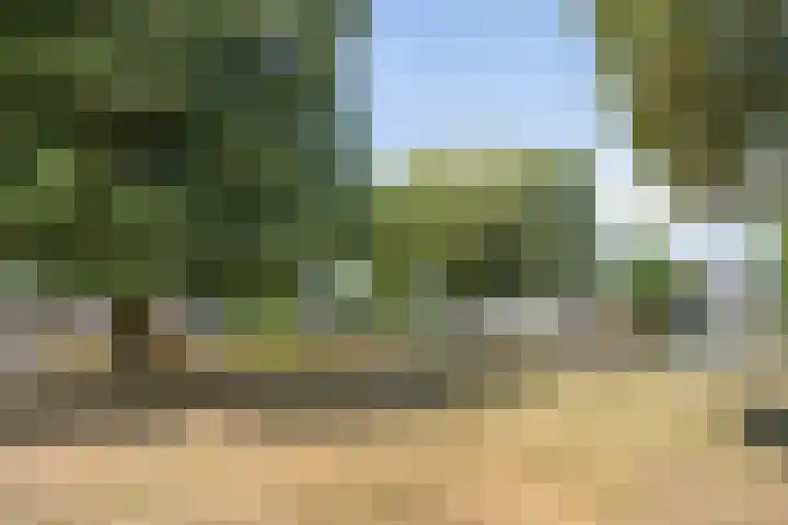 Dianastraat 32 Berlicum thumbnail 51