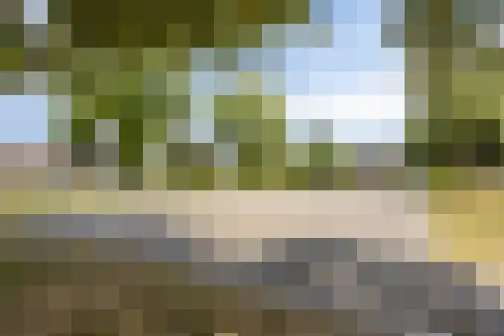 Dianastraat 32 Berlicum thumbnail 52