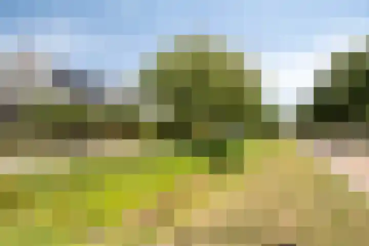 Dianastraat 32 Berlicum thumbnail 53