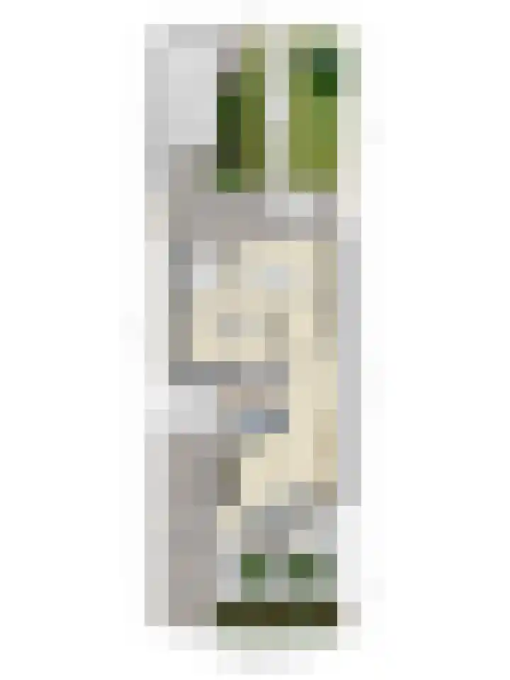 Dianastraat 32 Berlicum thumbnail 55
