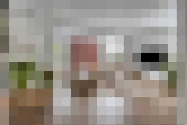 Dianastraat 32 Berlicum thumbnail 9