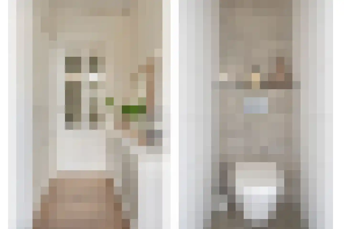 Dianastraat 38 Berlicum thumbnail 12