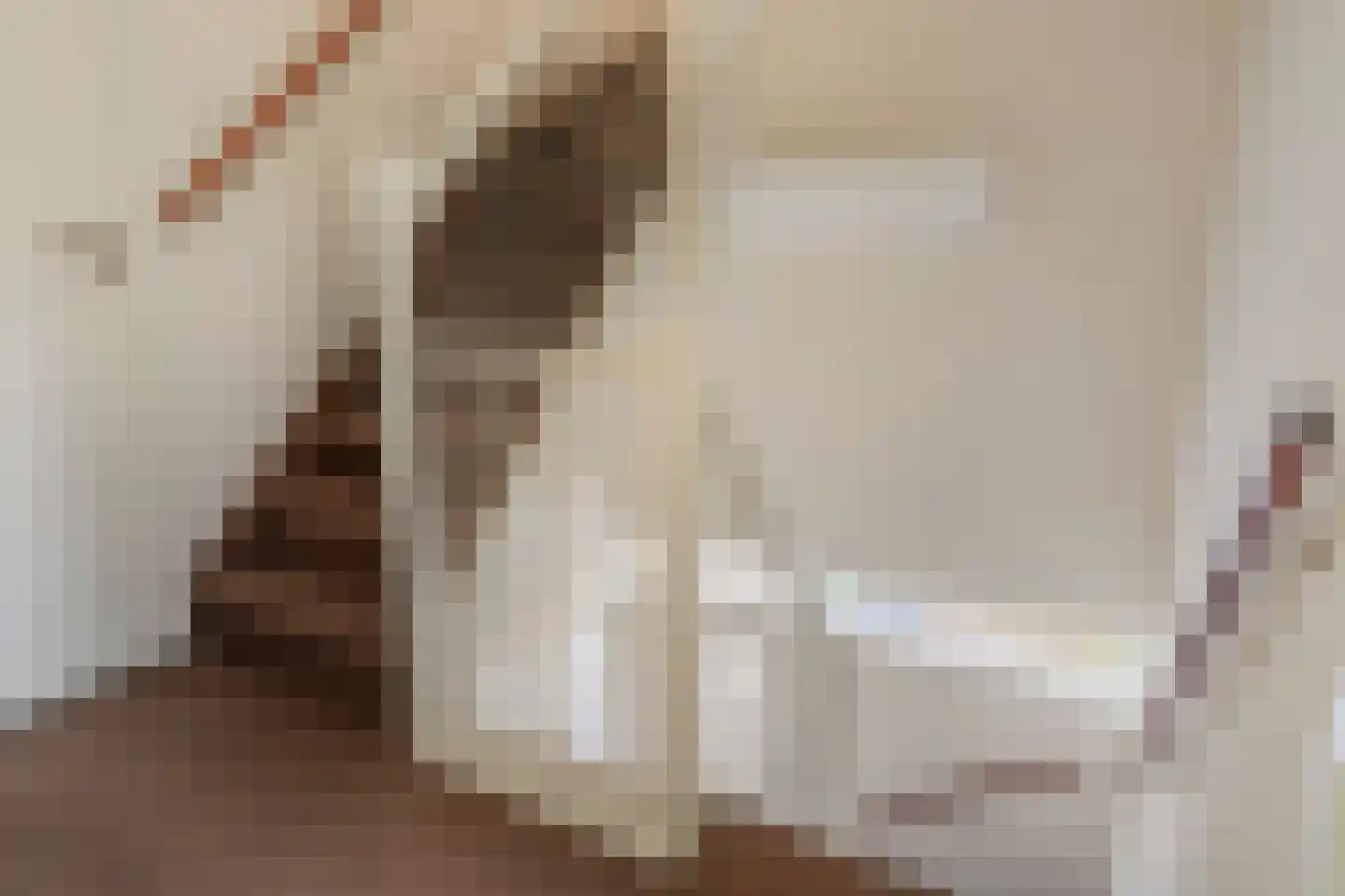 Dianastraat 38 Berlicum thumbnail 14