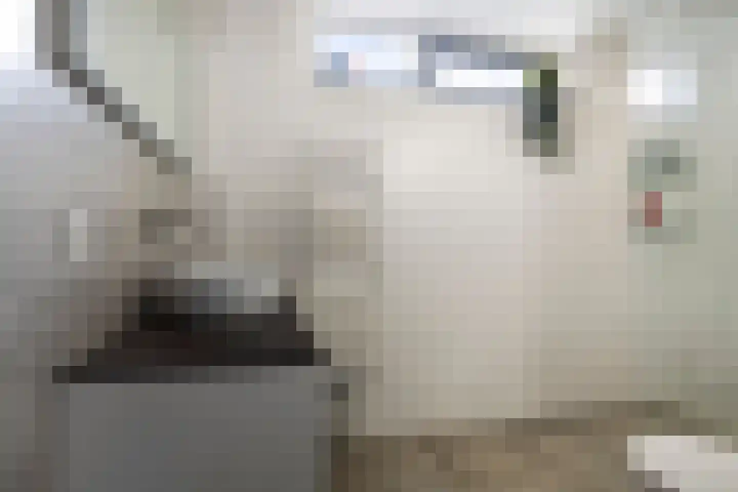 Dianastraat 38 Berlicum thumbnail 15