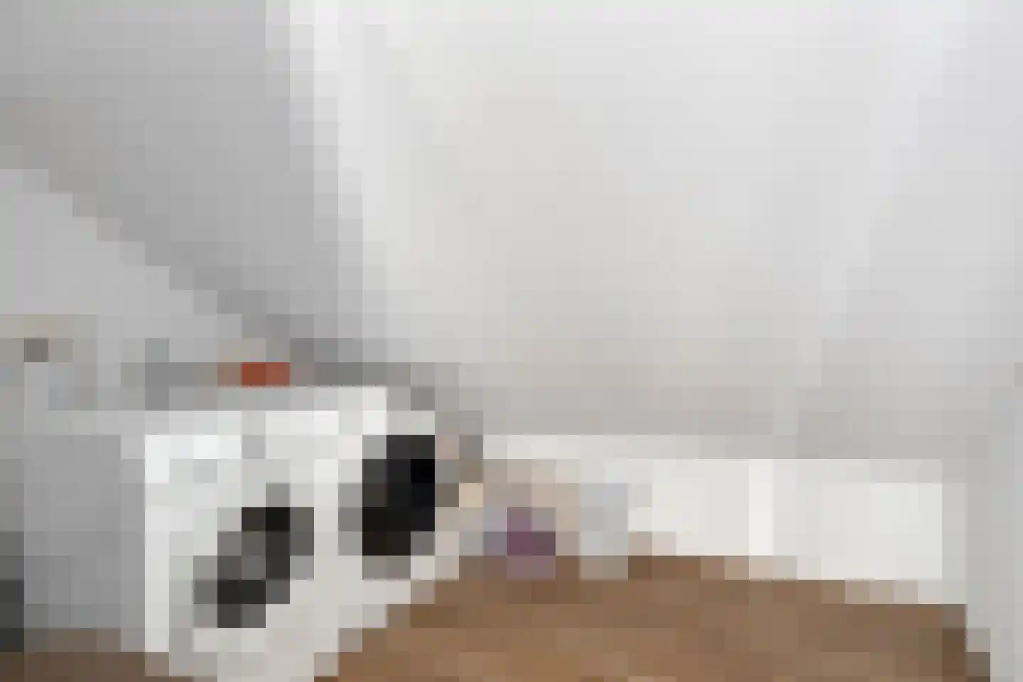 Dianastraat 38 Berlicum thumbnail 23