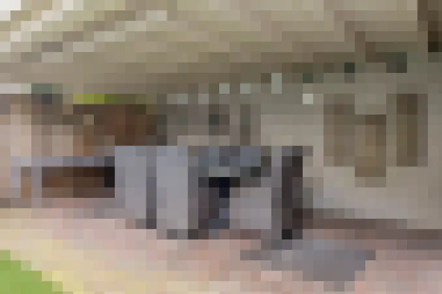 Dianastraat 38 Berlicum thumbnail 24