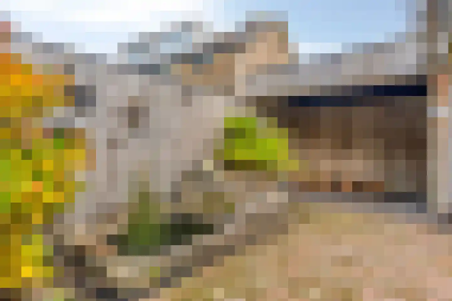 Dianastraat 38 Berlicum thumbnail 25