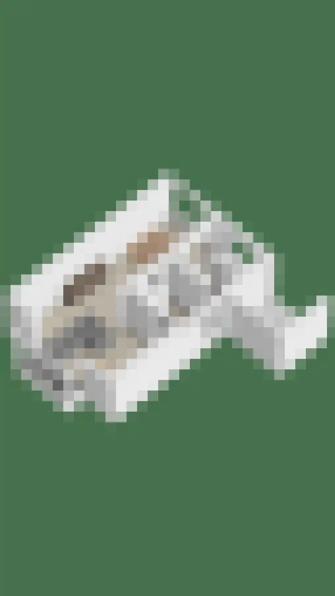 Dianastraat 38 Berlicum thumbnail 35