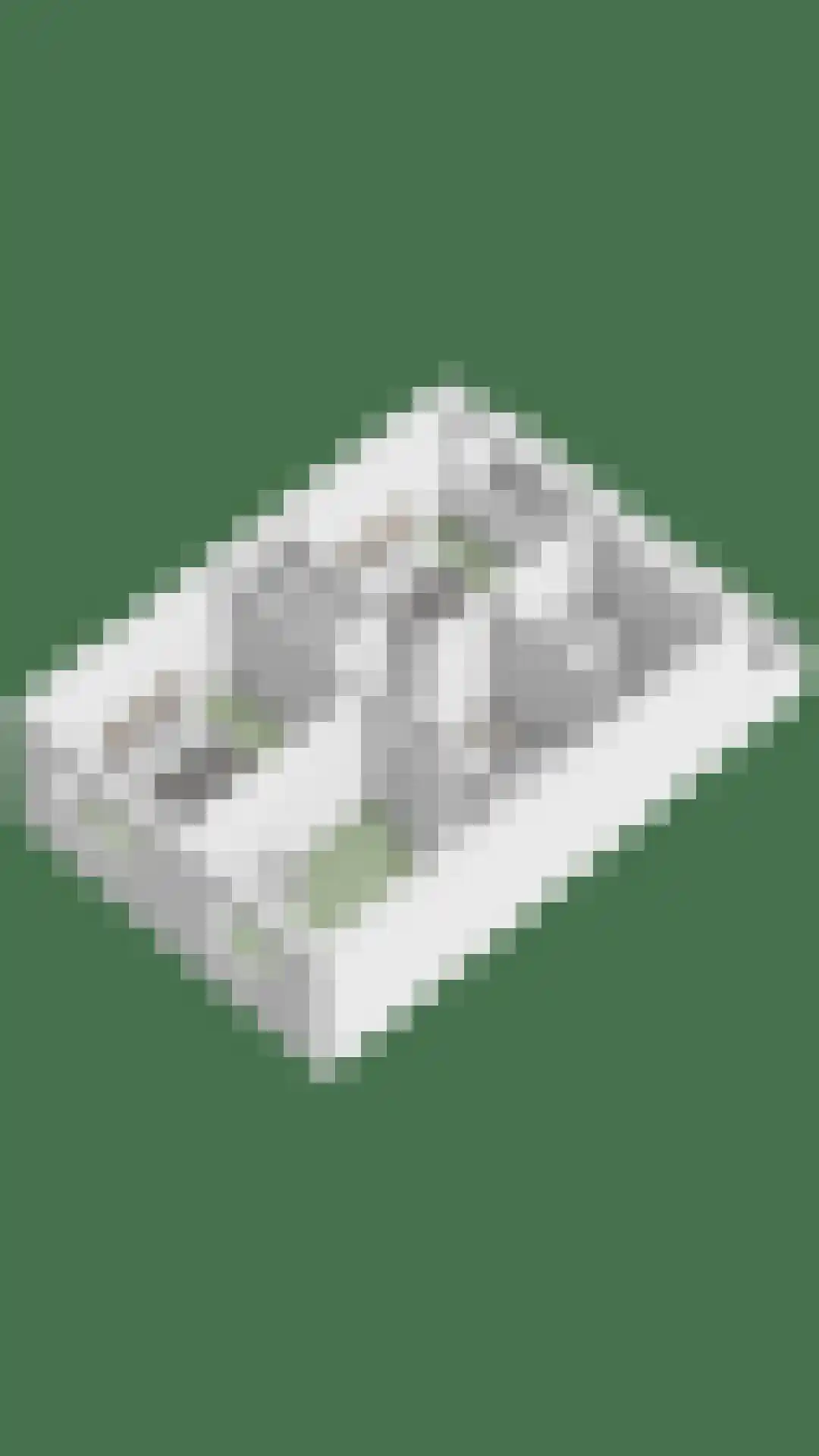 Dianastraat 38 Berlicum thumbnail 36