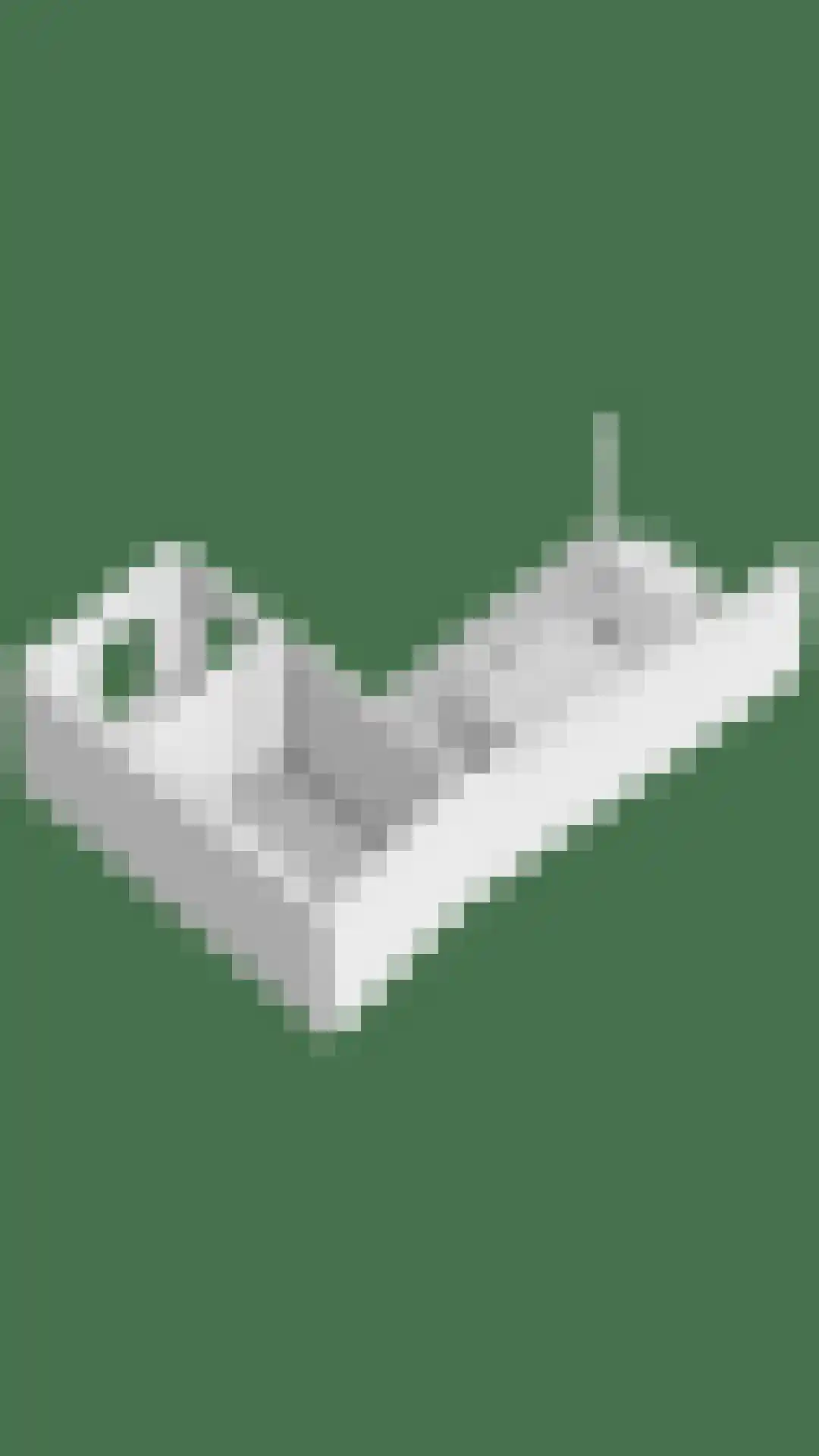 Dianastraat 38 Berlicum thumbnail 37