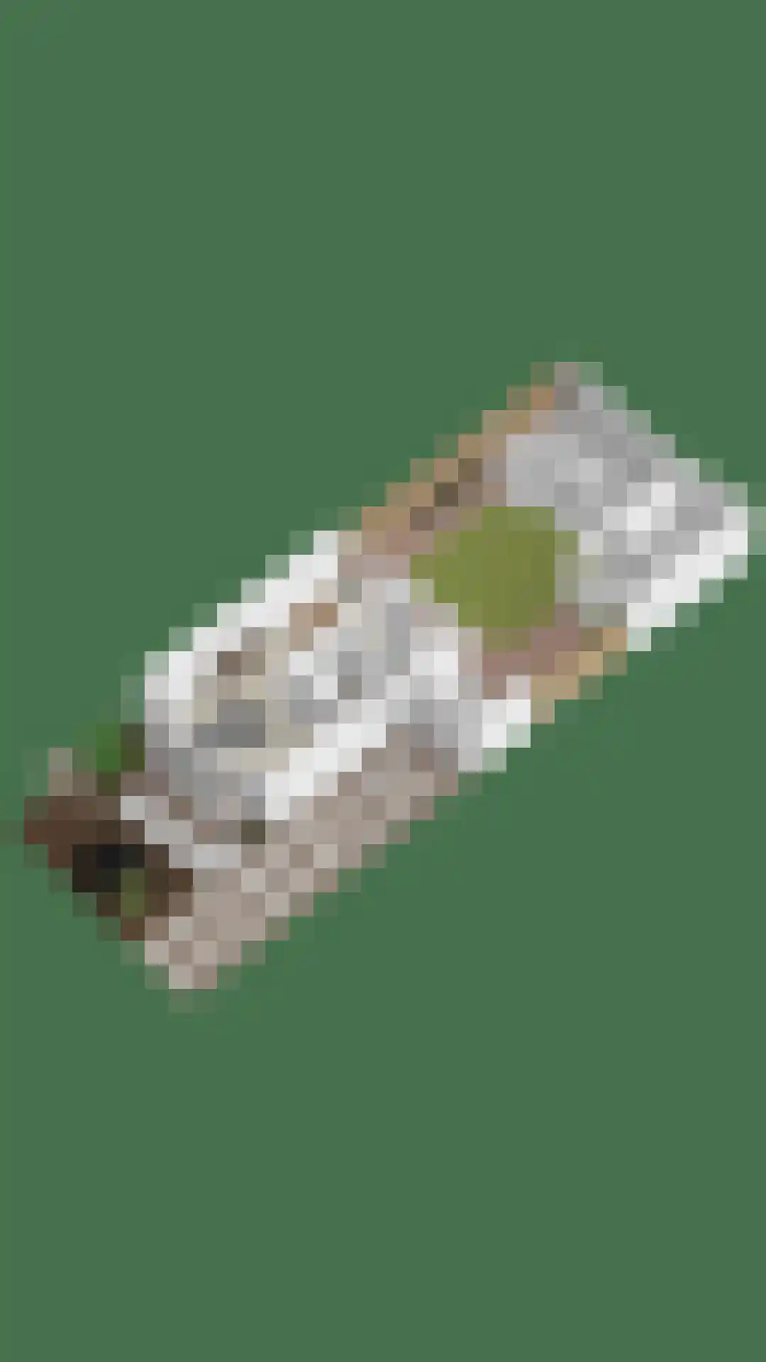 Dianastraat 38 Berlicum thumbnail 39
