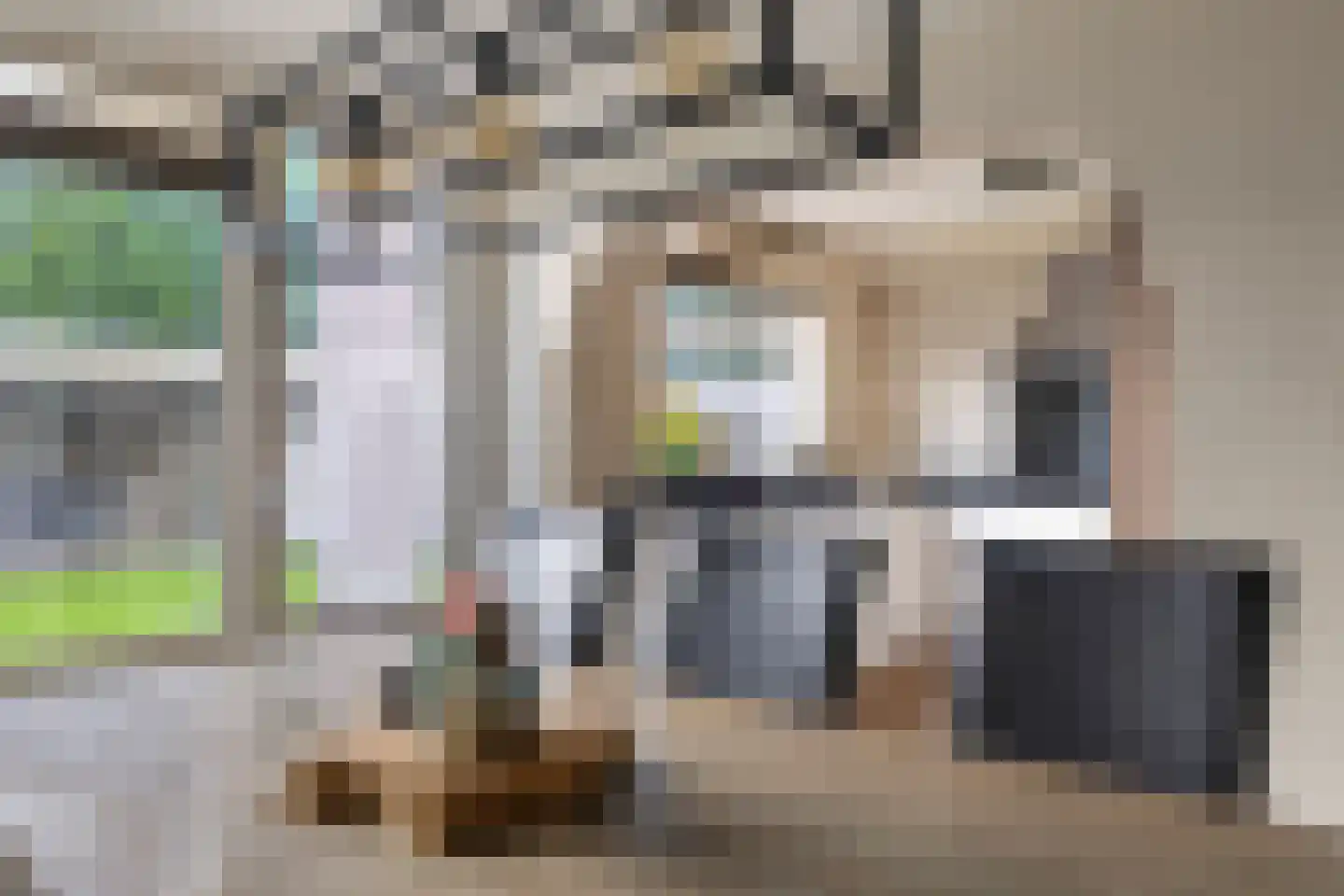 Dianastraat 38 Berlicum thumbnail 8