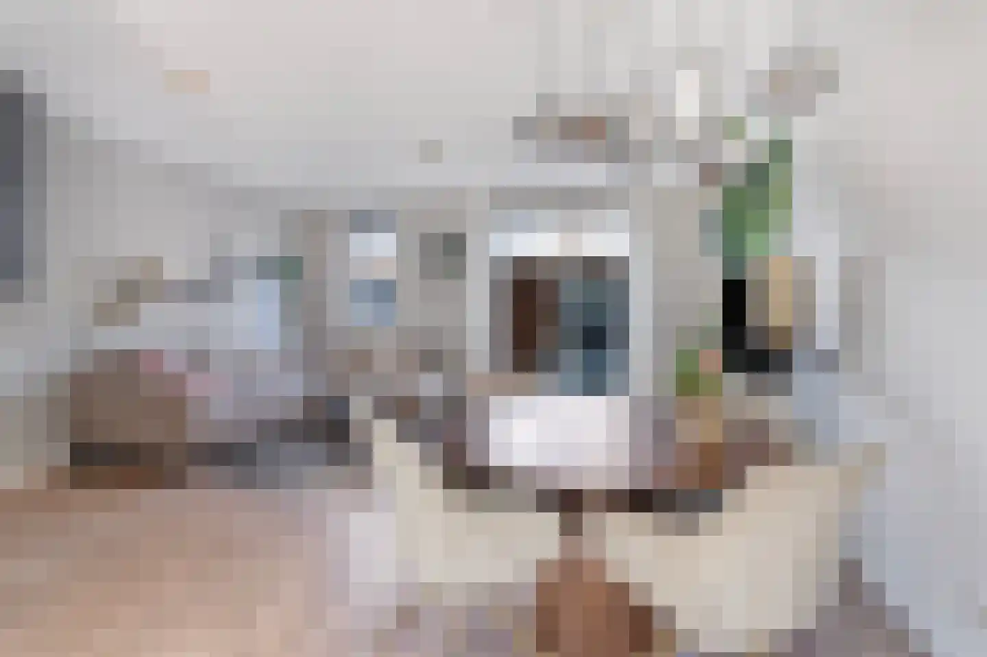 Dianastraat 4 Almere thumbnail 16
