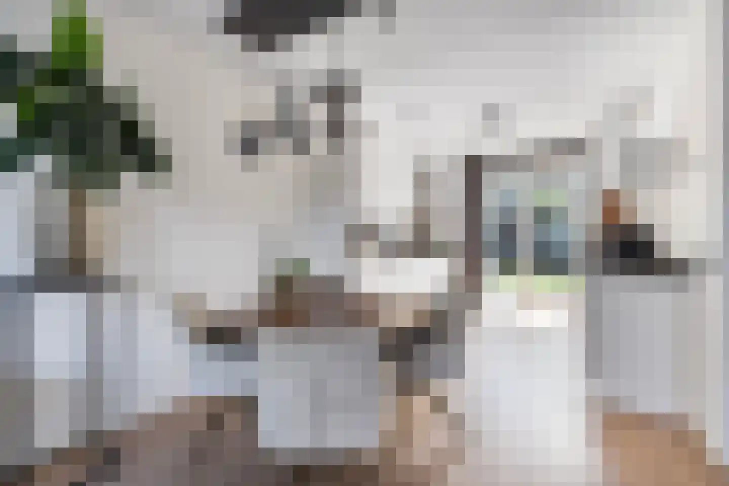 Dianastraat 4 Almere thumbnail 19
