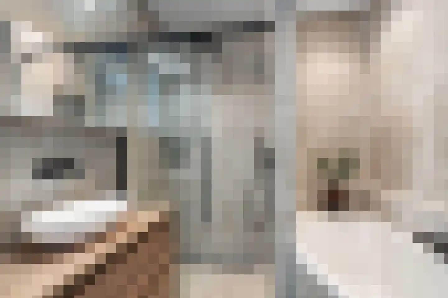 Dianastraat 4 Almere thumbnail 4