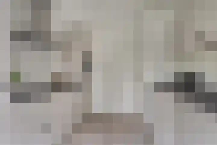 Dianastraat 48 Berlicum thumbnail 10
