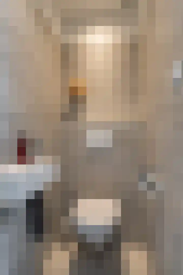 Dianastraat 48 Berlicum thumbnail 12