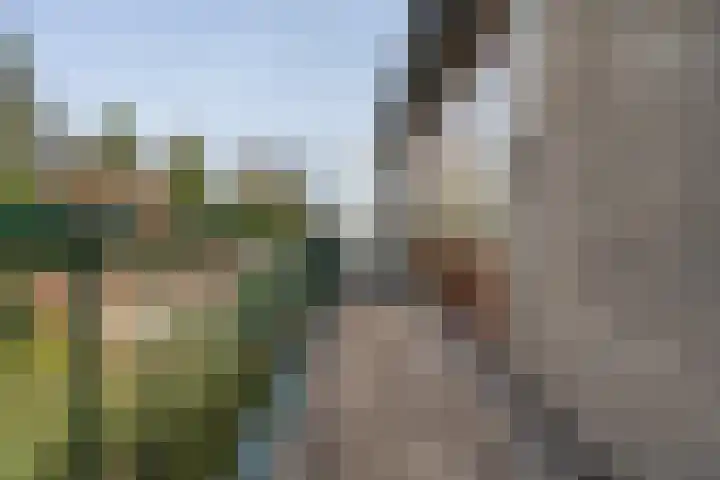 Dianastraat 48 Berlicum thumbnail 16