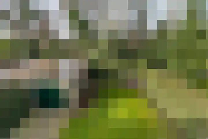 Dianastraat 48 Berlicum thumbnail 17