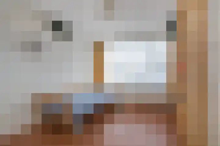 Dianastraat 48 Berlicum thumbnail 18
