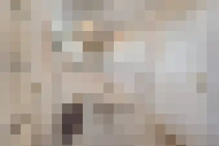Dianastraat 48 Berlicum thumbnail 20