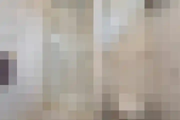 Dianastraat 48 Berlicum thumbnail 22