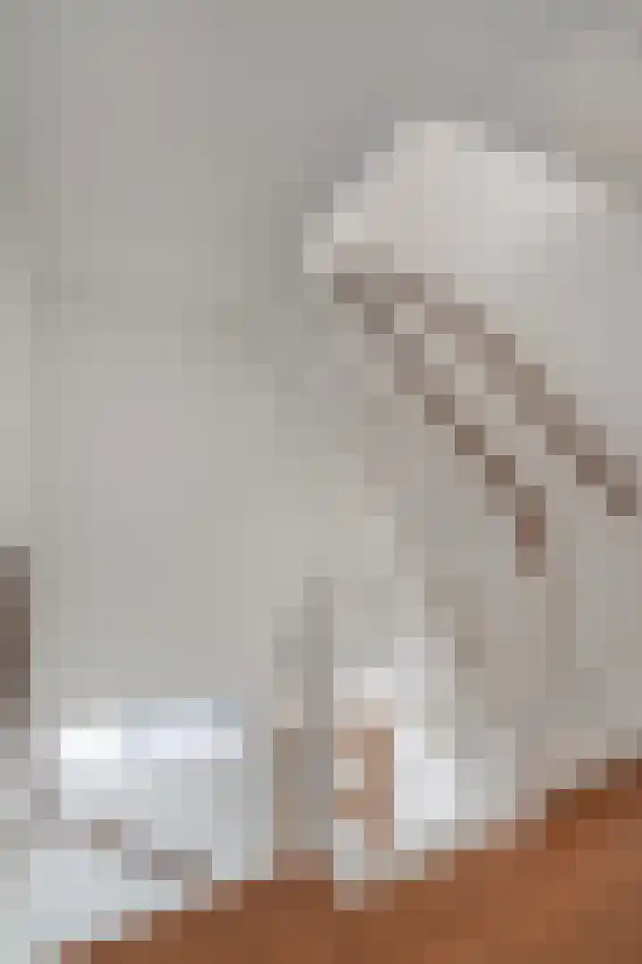 Dianastraat 48 Berlicum thumbnail 23