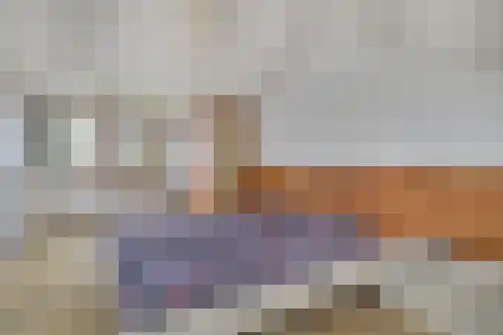Dianastraat 48 Berlicum thumbnail 25