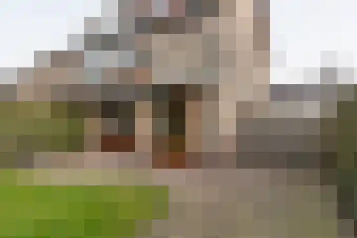 Dianastraat 48 Berlicum thumbnail 26